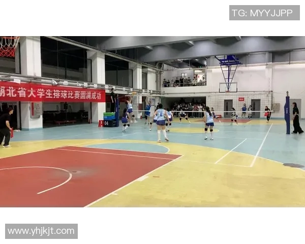 武汉排球队的辉煌历程与突破之路全景纪实